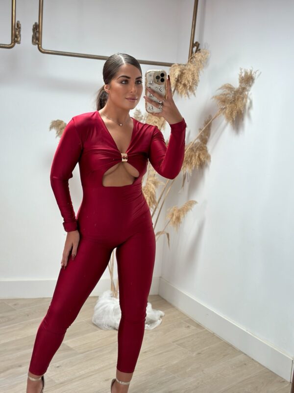 Mono Amor Rojo - Imagen 3